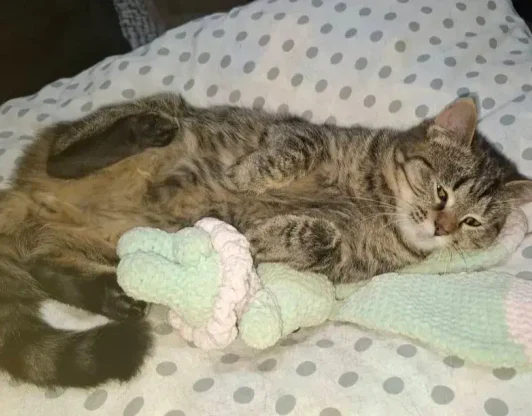 Кличка